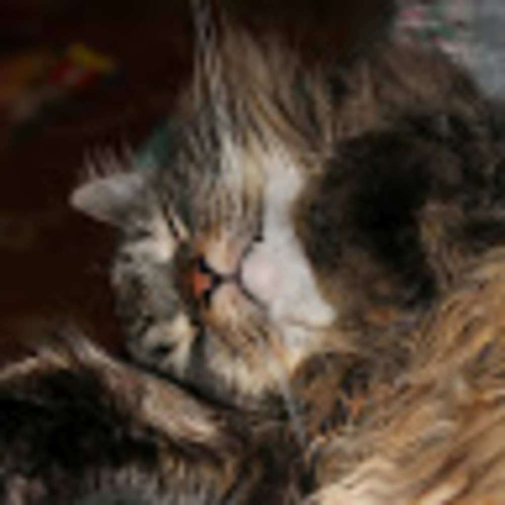 Meet your Posher, Heather